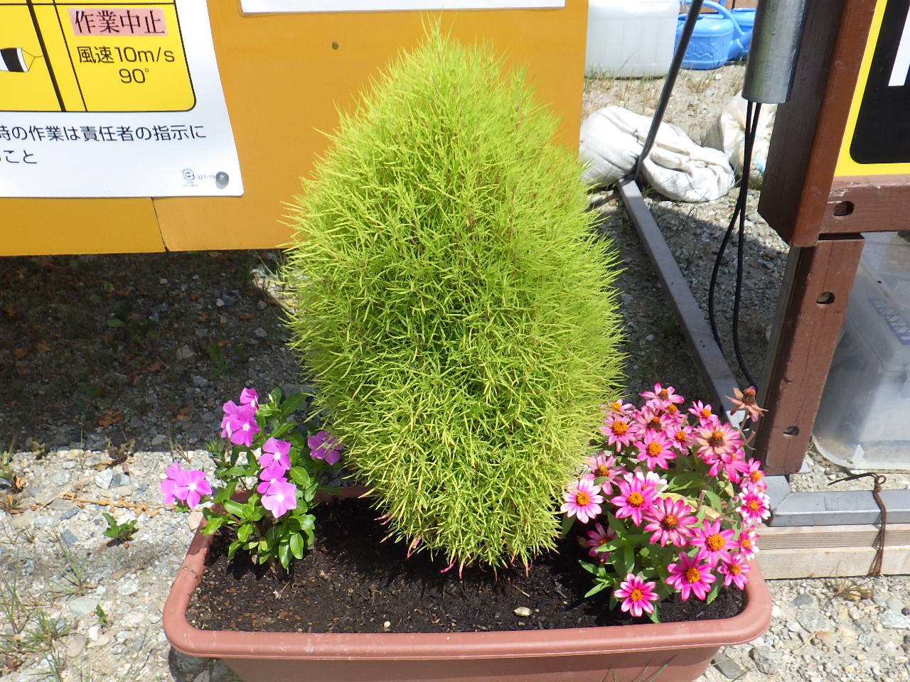 �������߹���������