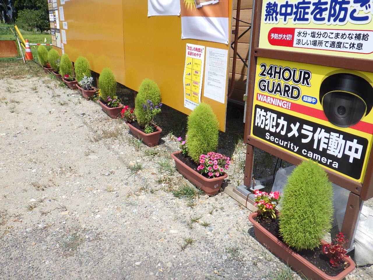 �������߹���������