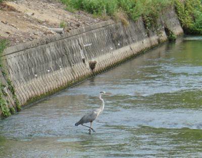 �ڽ뤤��Ǥ�ֲ֡פ�Ĺ��ԡۡ�����