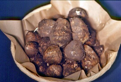 �ڤ�ä��ꡢ�ۥ��ۥ� �Ȥɤ����ɡۡ�����