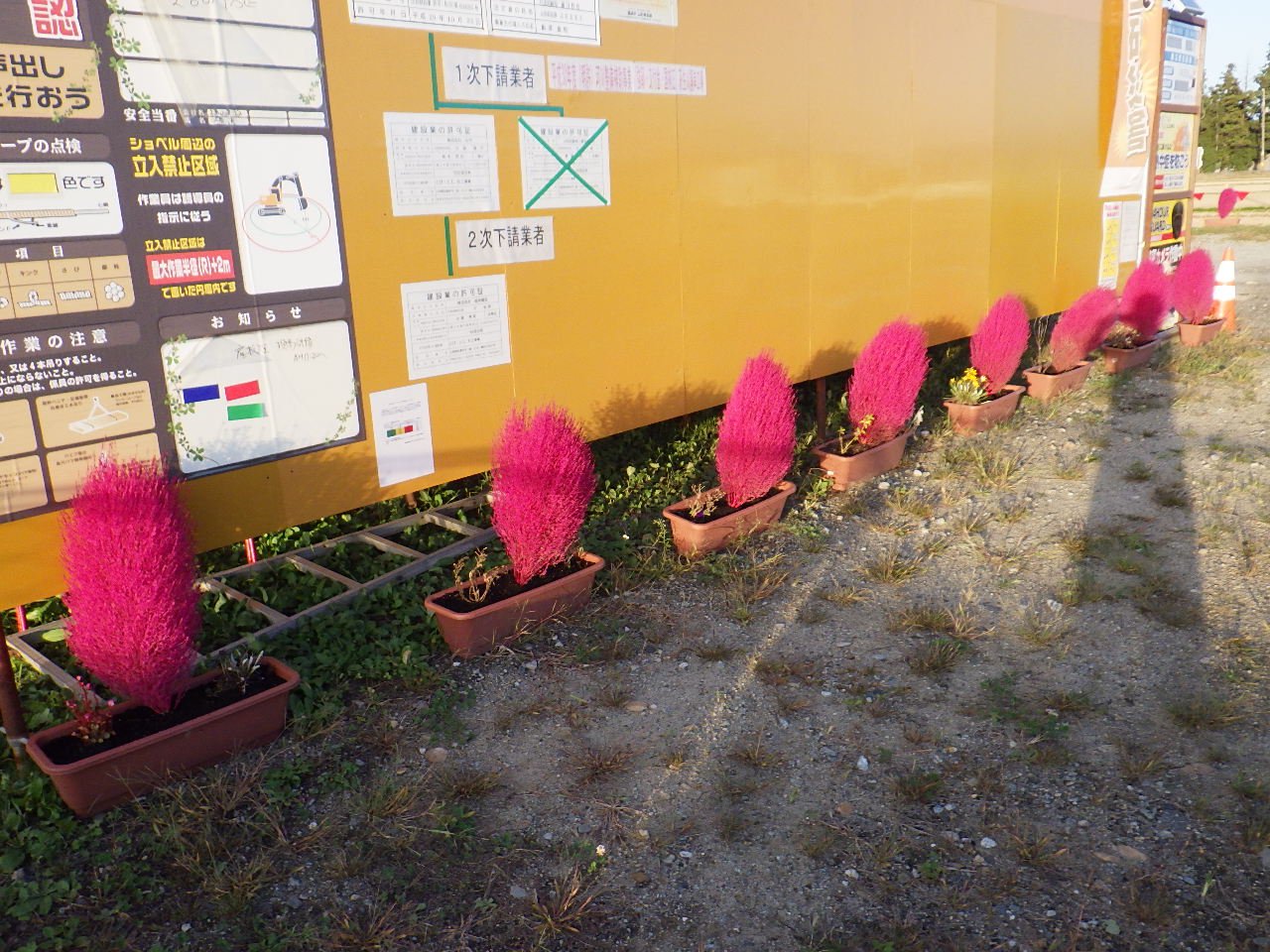 �������߹���������