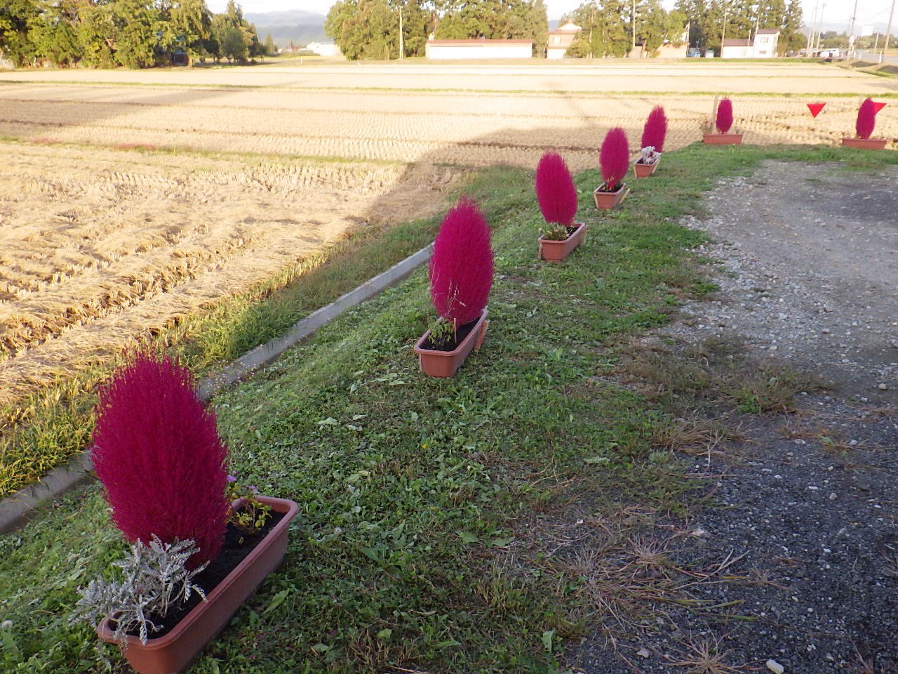 �������߹���������