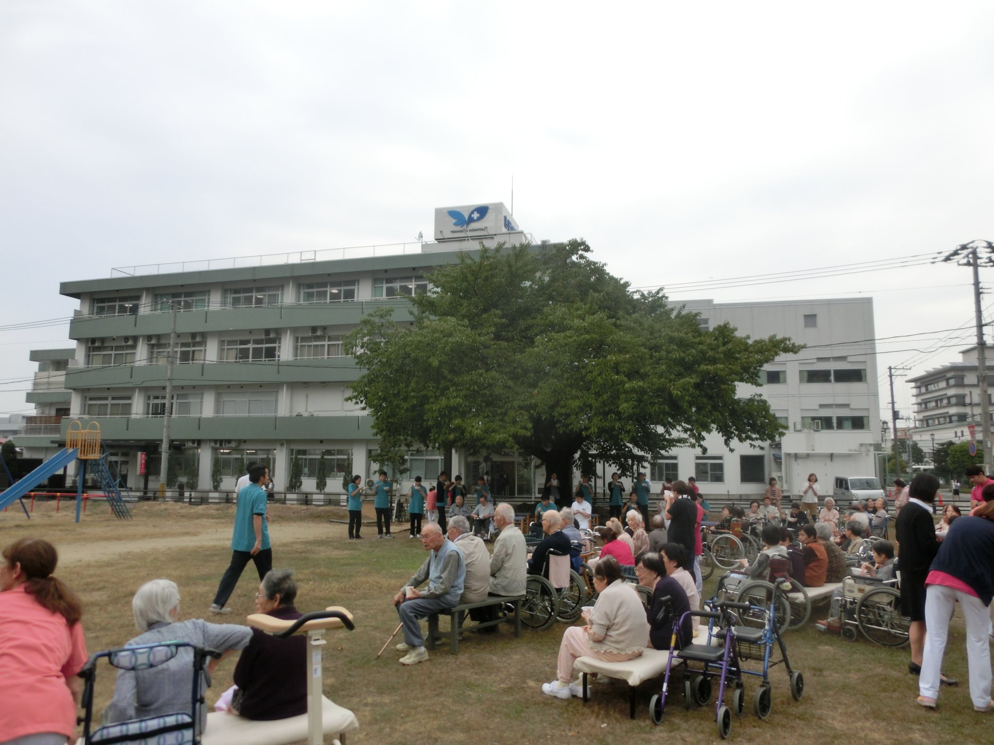 ��Ѳ񡧲���