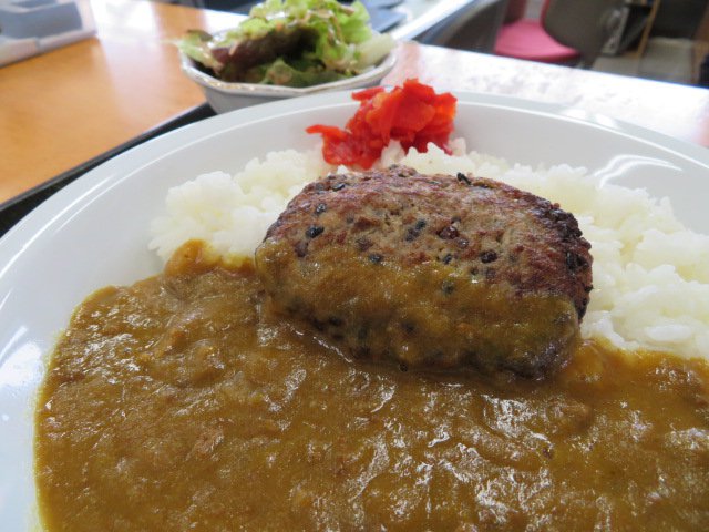 ƻ�αؤ����Ϥ����ꡪ����ʸ�ϥ�С������졼������