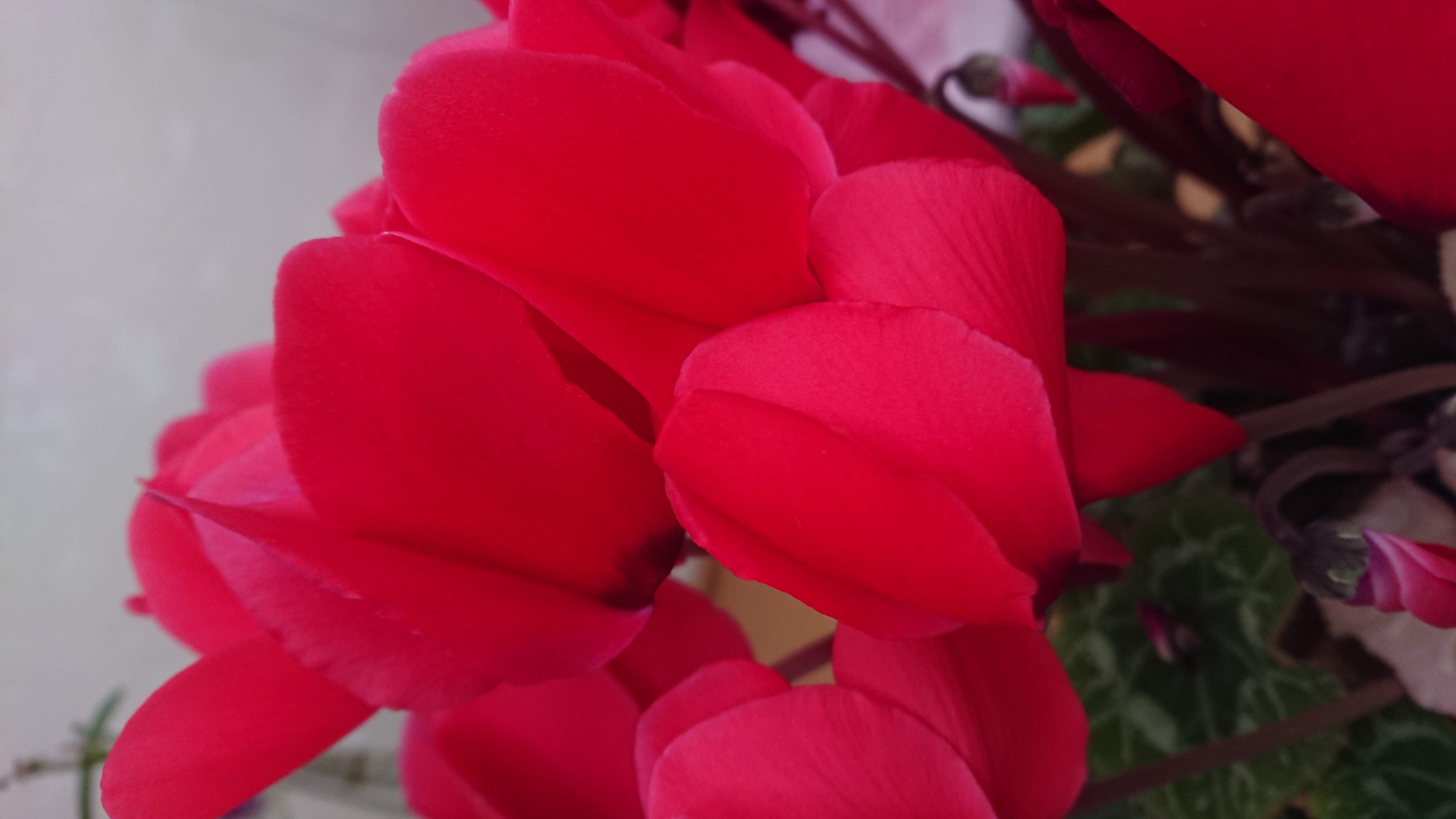 ���䥳�ߤθ����ˤʤ륻�ߥʡ��������ޤ���������