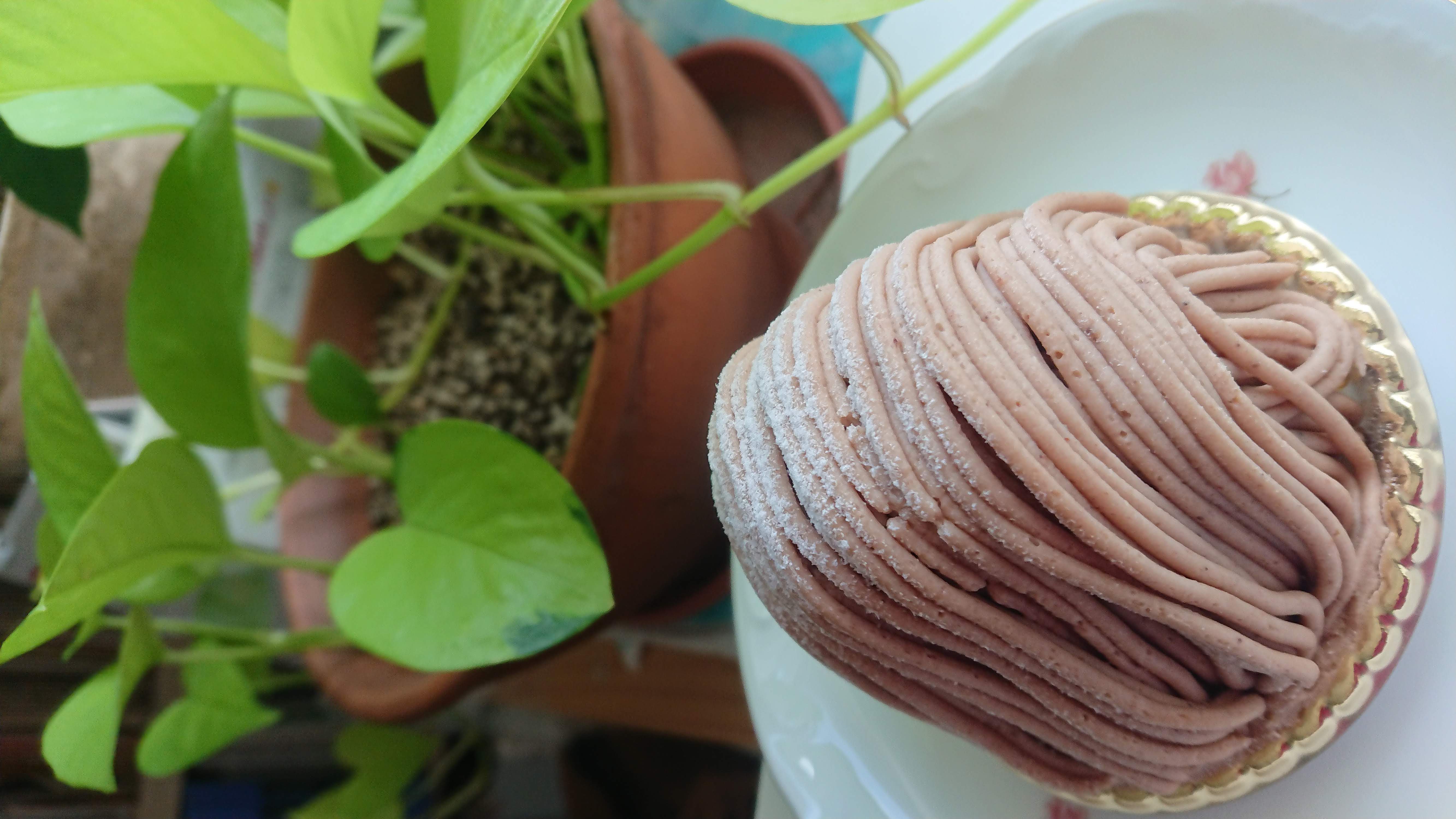 ���䥳�����ò񡧲���