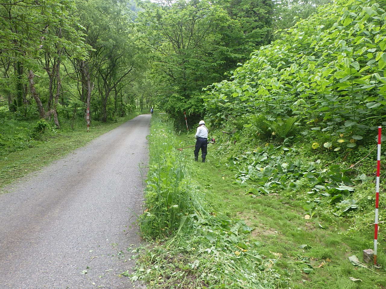 �������ݻ�����������