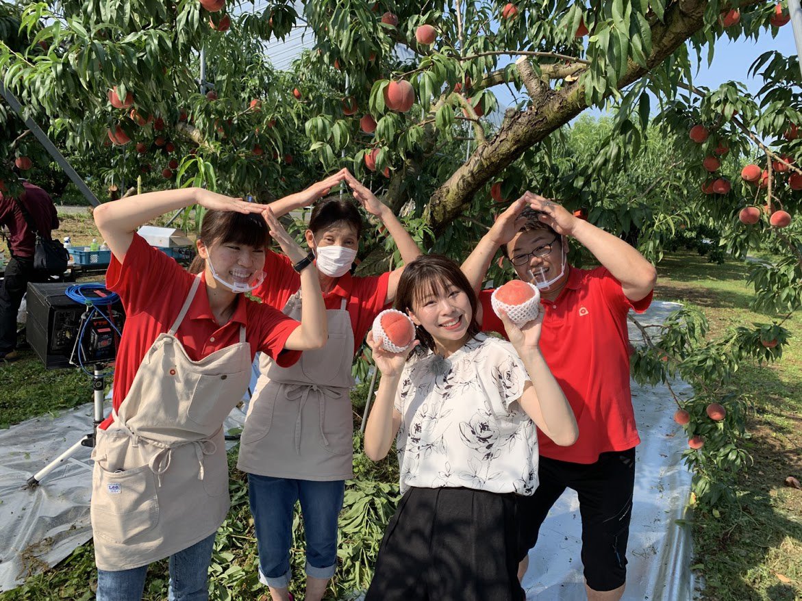 ��ī�������Ǥ�ι������פǤ��Ҳ𤤤������ޤ�����������