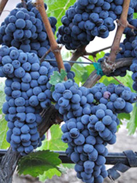 ٥ͥե<br>1,870ߡǹˡ