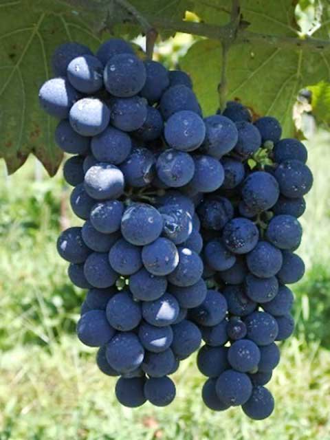 ԥΥΥ<br>1,870ߡǹˡ