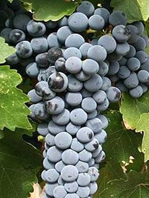 ٥͡˥<br>1,870ߡǹˡ