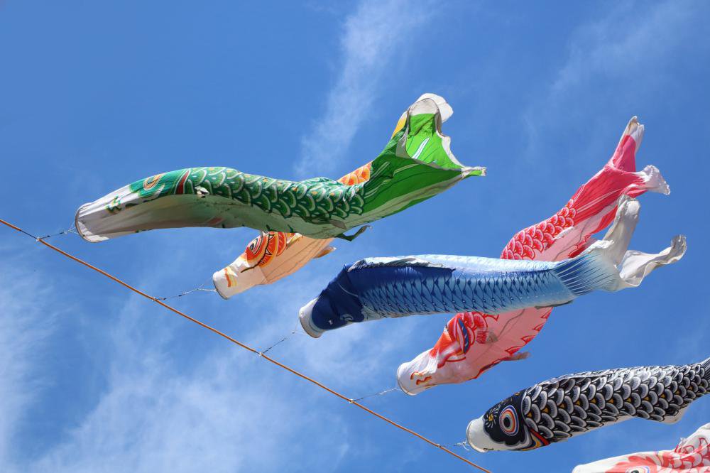 ������ǥ󥦥������αĶȤˤĤ��ơ�����