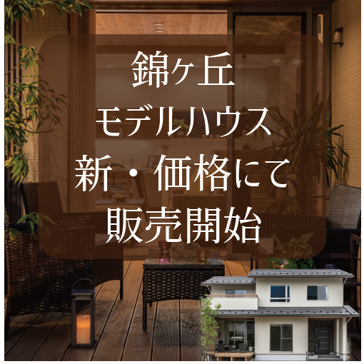 ӥ֥ǥϥ-ʲ-