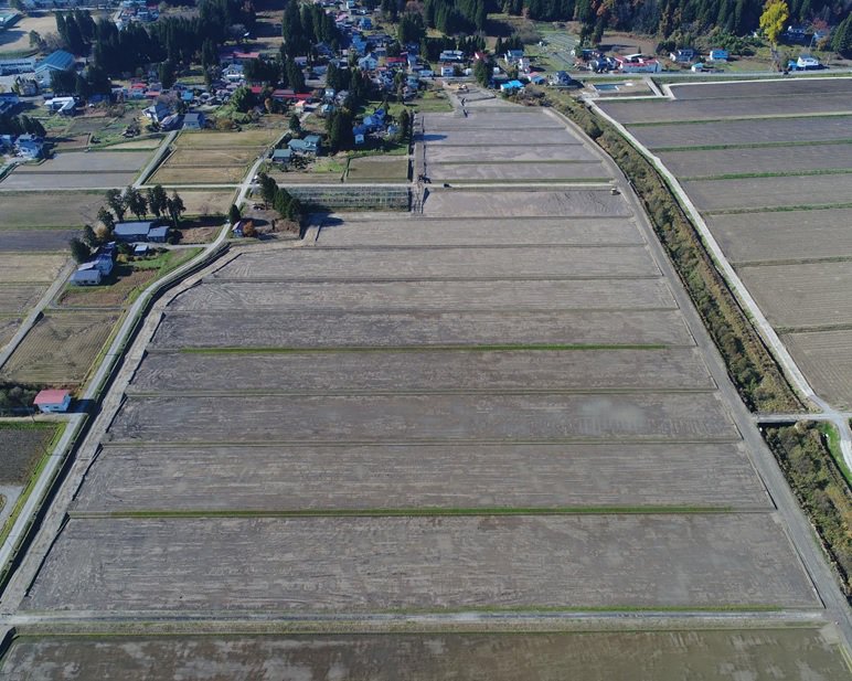 ���£�ǯ�� �𲬰���϶���������㥳���ȡ����ղò��Ͳ�������������(���̷�)�裲���蹩��������