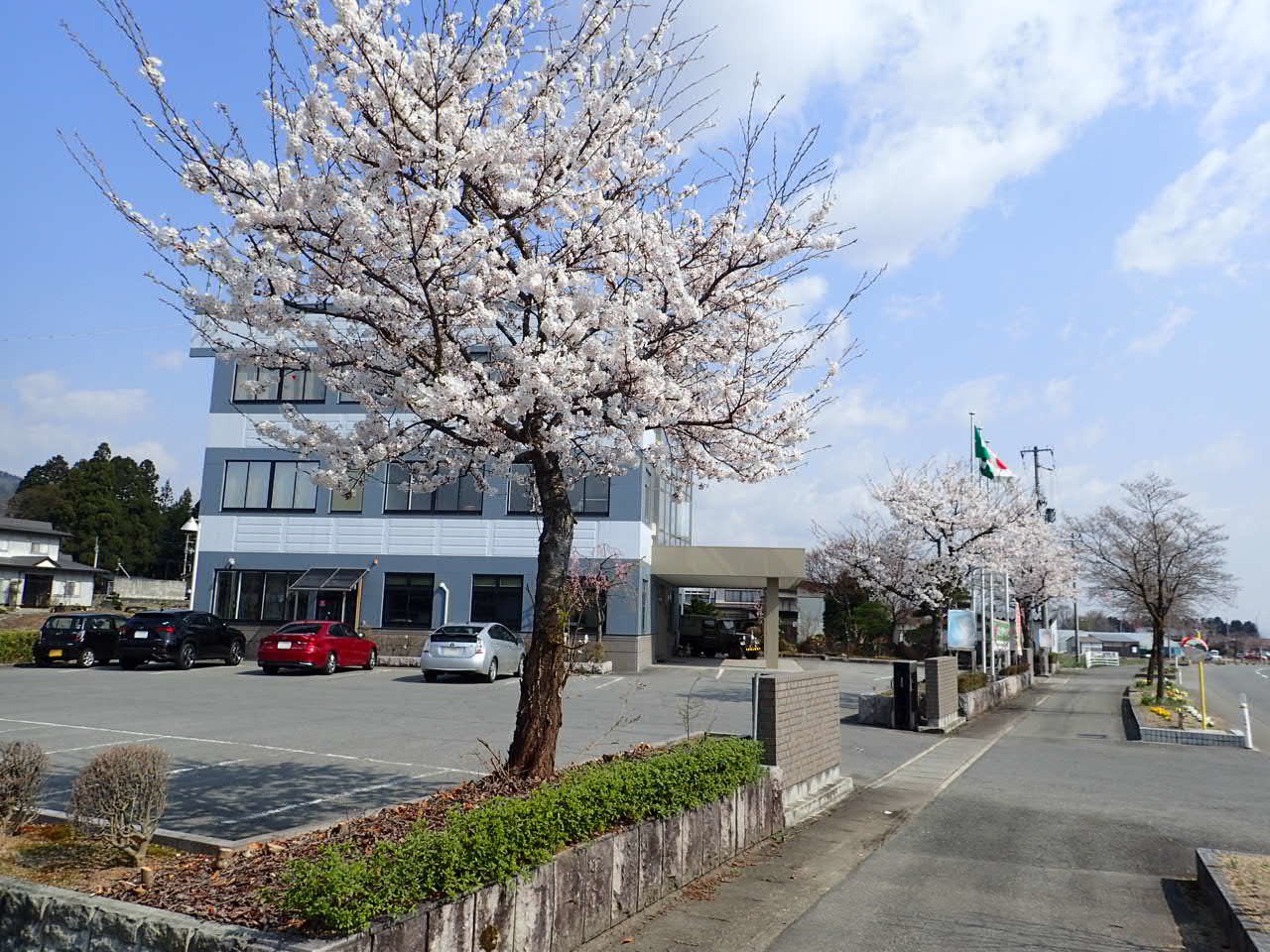 �����仿�����桪������