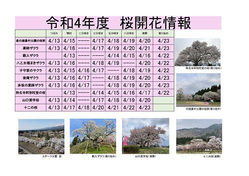 ����4ǯ�١�����Į�����鳫�־��󡧲���