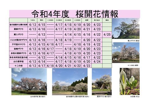 ����4ǯ�١�����Į�����鳫�־��󡧲���
