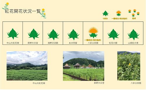 ����4ǯ�١�����Į�Ȳֳ��־��󡧲���