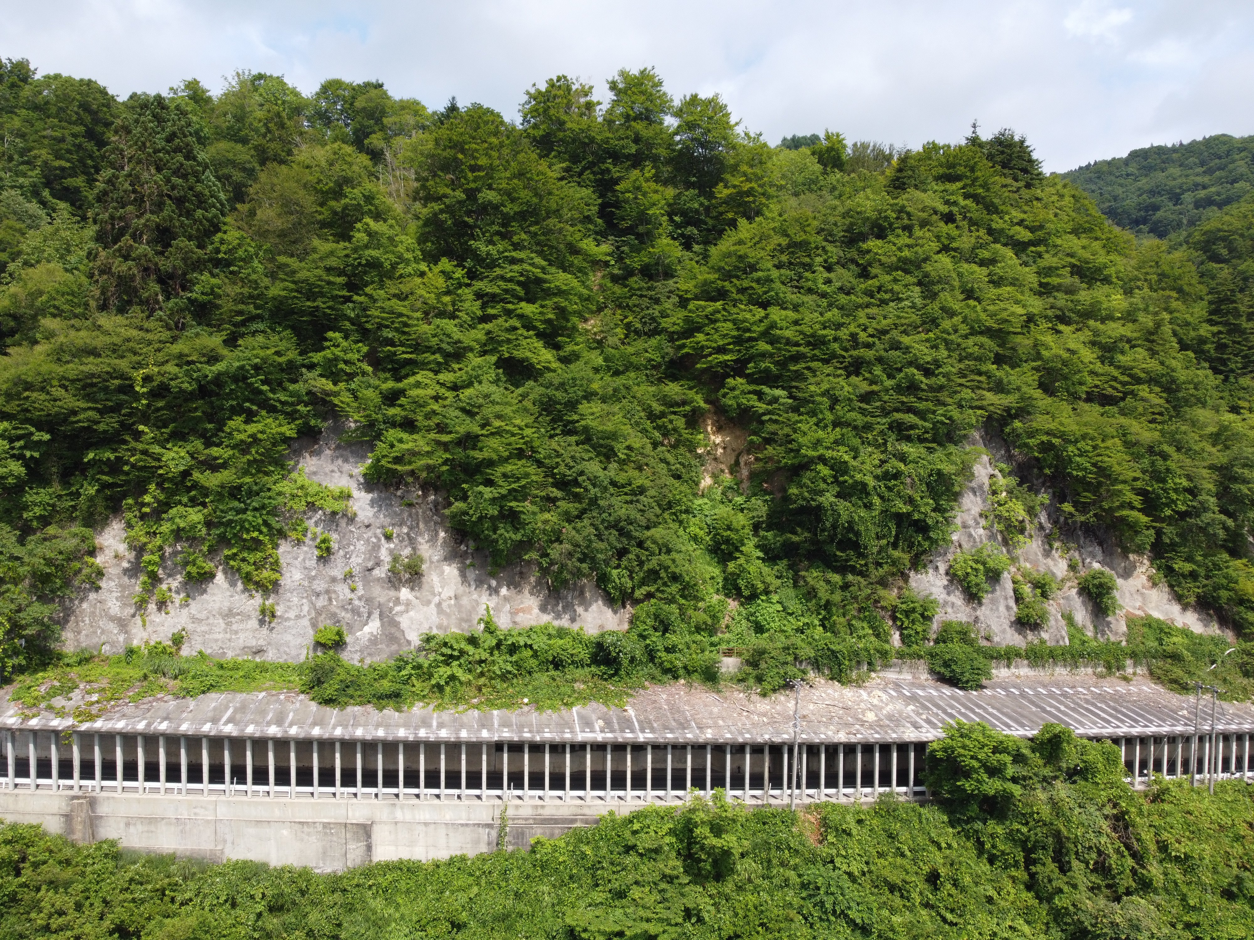 ������˭�������к�����������