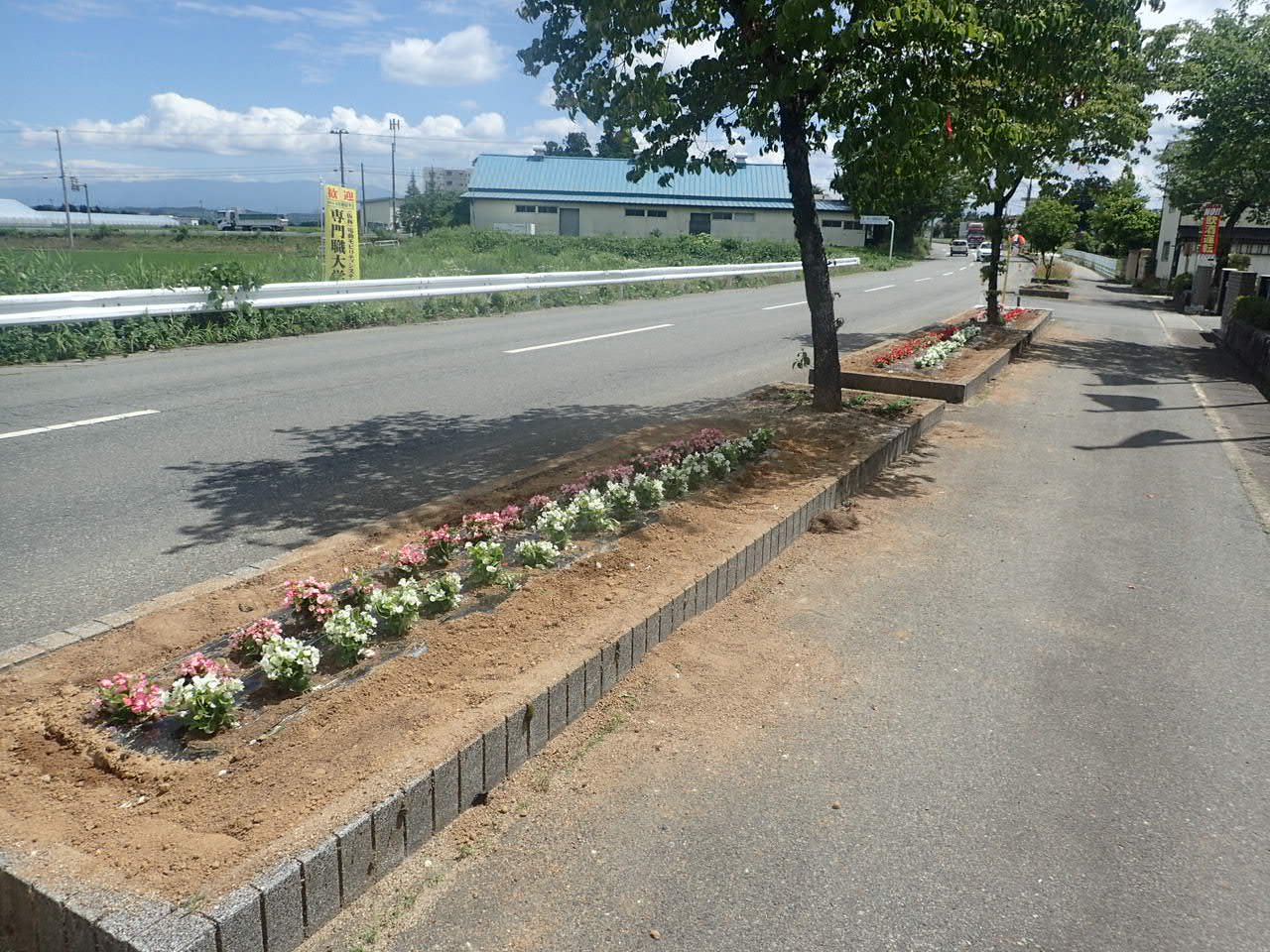 ���ſ���2022������