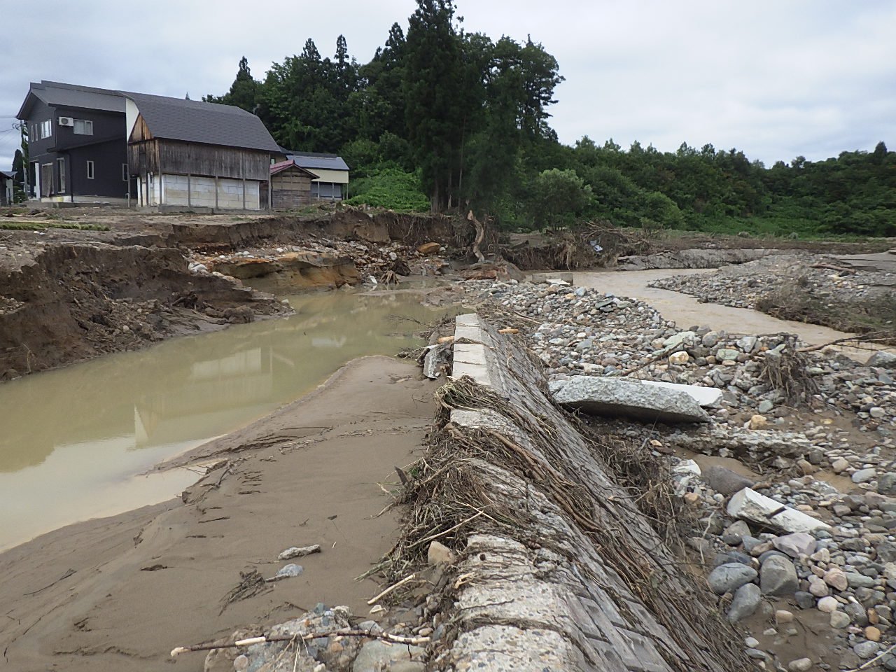 �ھ�������紬����ή�նᡧ����