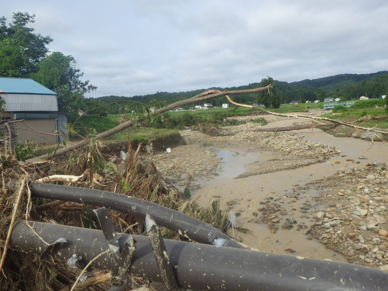 �����������ȿ�Ķ��նᡧ����