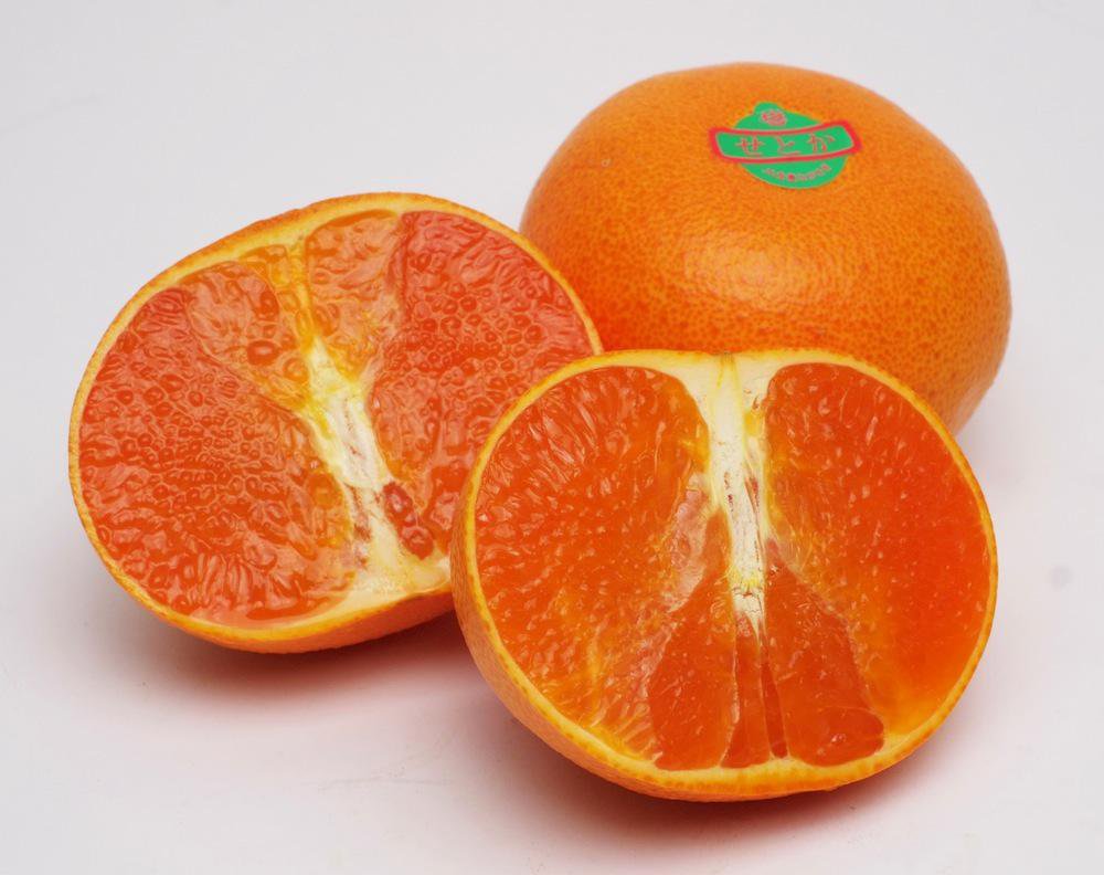 Ĺ�긩���Ԥ��Ȥ��ո��ι�鴻�̡��̿�