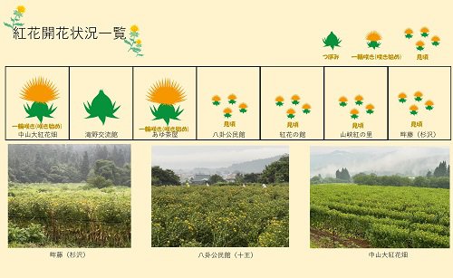 ����5ǯ�ٹȲ�Ȫ���ְ���������