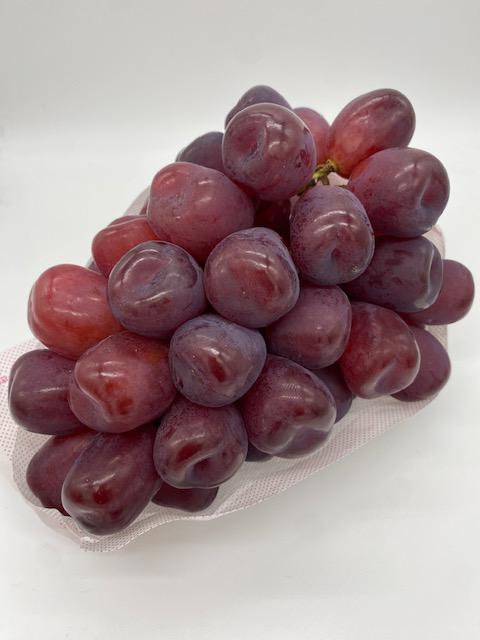 ٻΤεե֥å㥤ޥåȡ̿