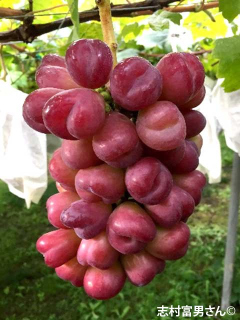 ޥϡ<br>14,400ߡǹˡ