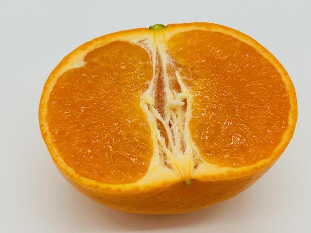 �ڤˤ��ˤ��ե롼�����ŵ�ۤ��Ȥ����̿�