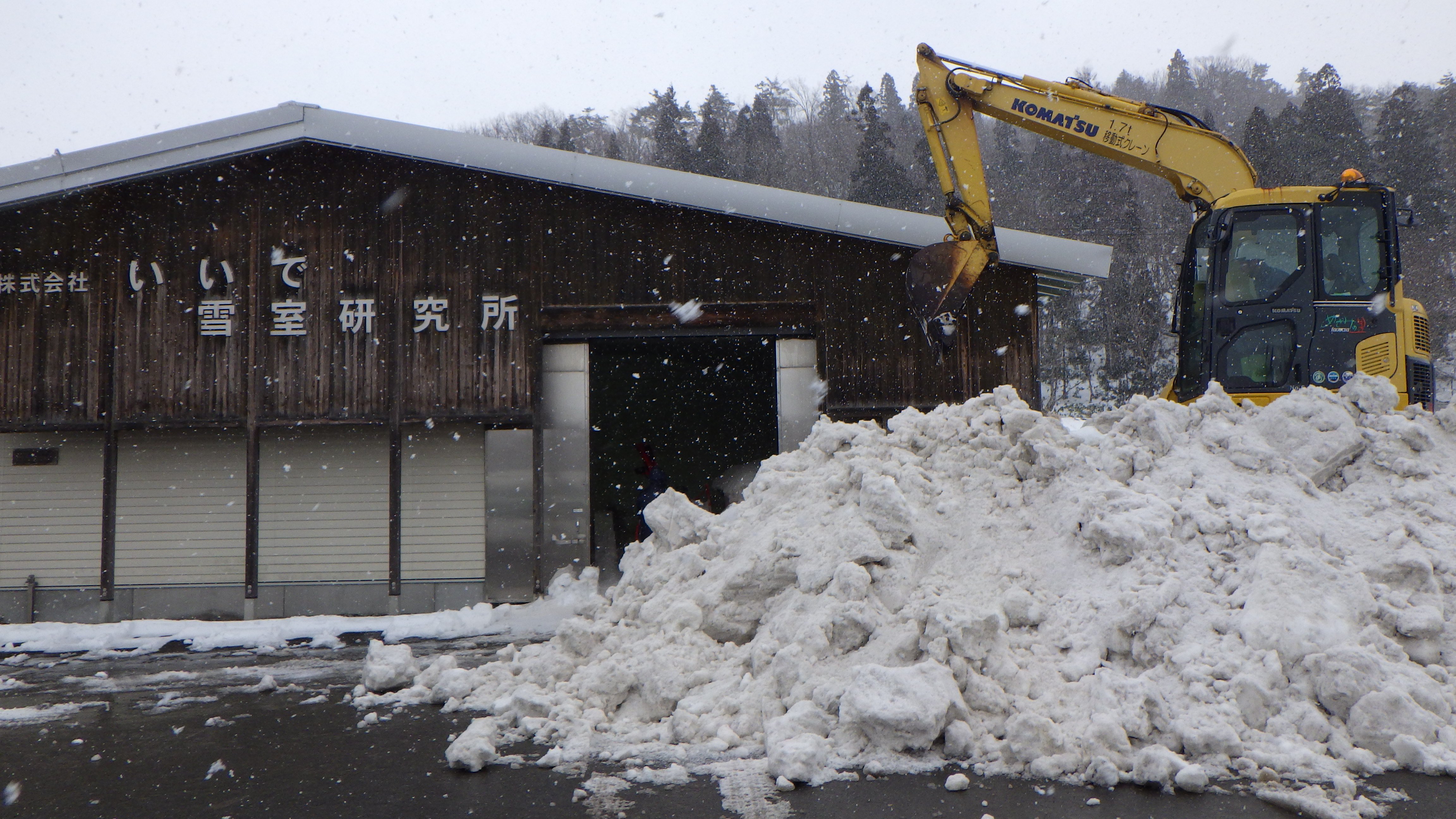 �㼼������