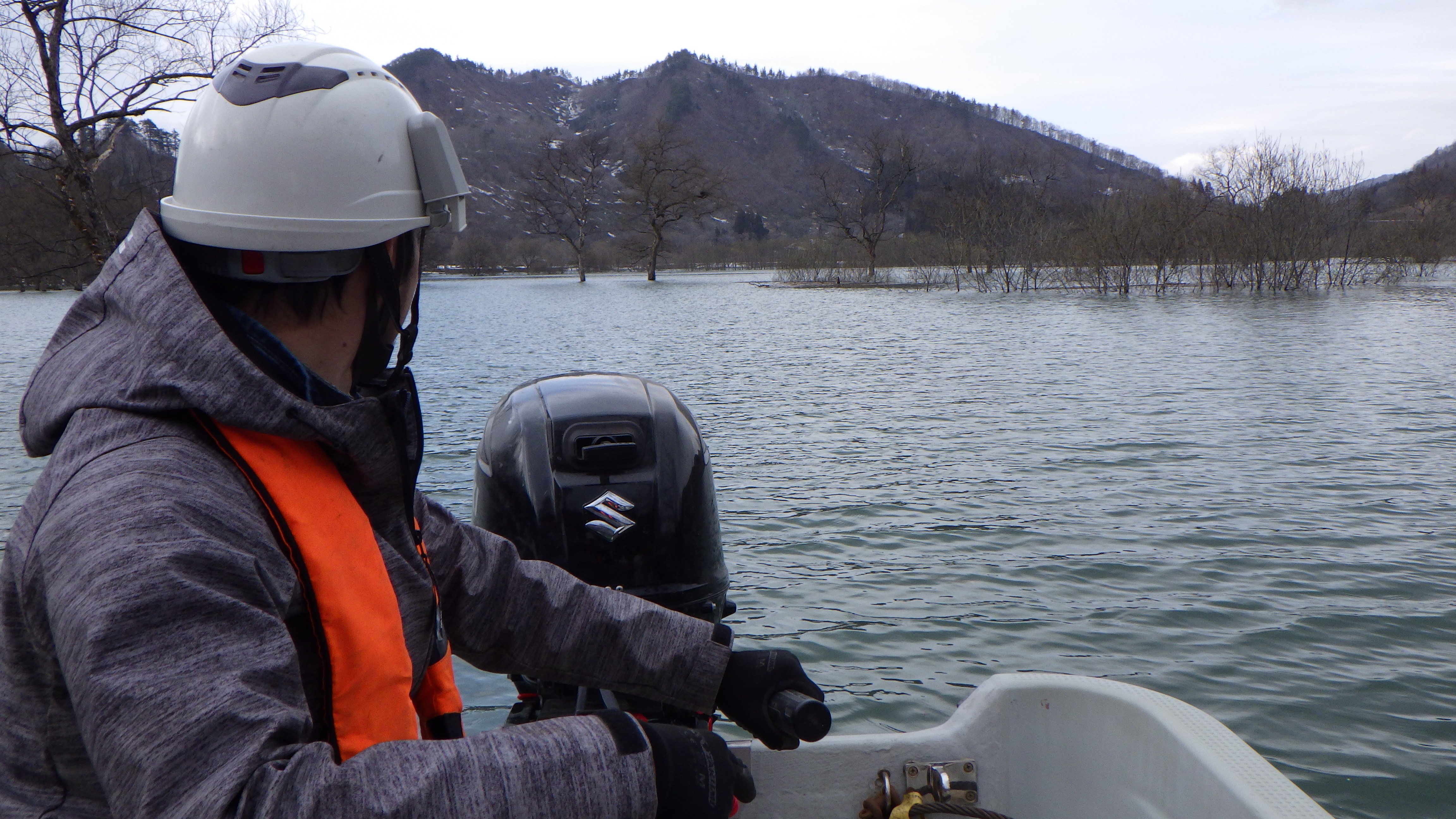 ����С�����