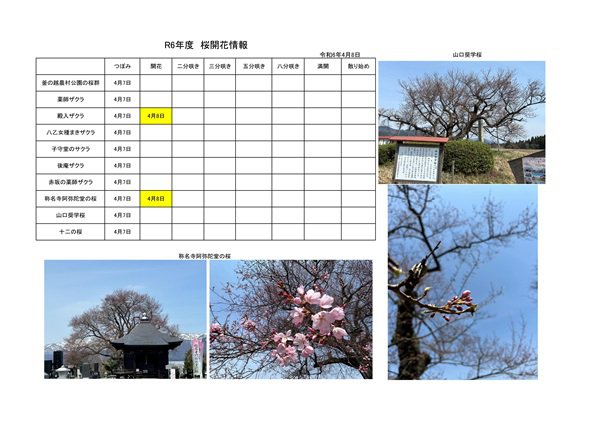 ����6ǯ�٤����鳫�־��󡧲���