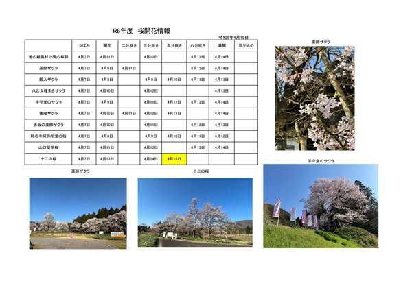 ����6ǯ�٤����鳫�־��󡧲���