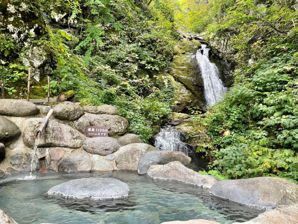 �츫Ϫŷ��Ϥ�����桪����10�����ޤǡ����꡼�󵨸��ꡧ����