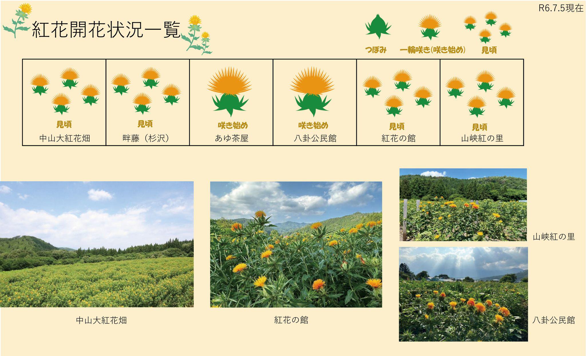 ����6ǯ�� �Ȳ�Ȫ���ְ��� 7/5������