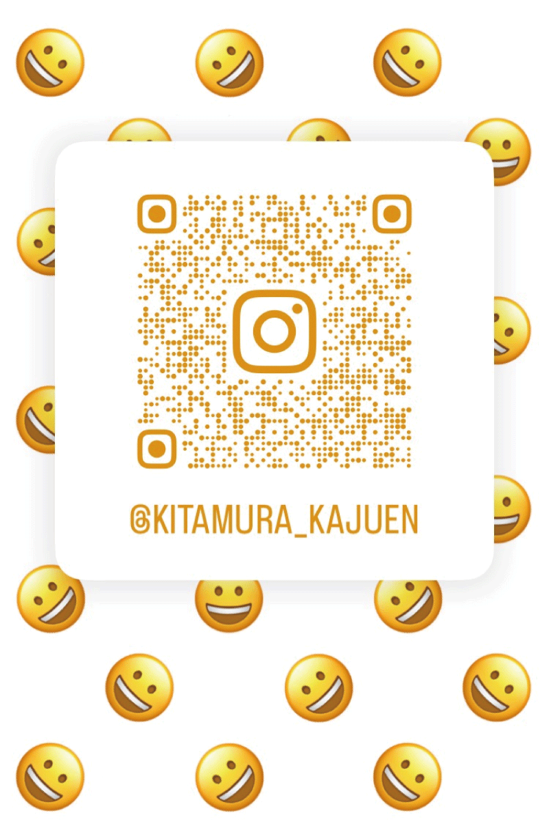¼̼ࡢInstagramϤޤ
