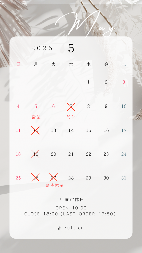 5ĶΤΤ餻̿