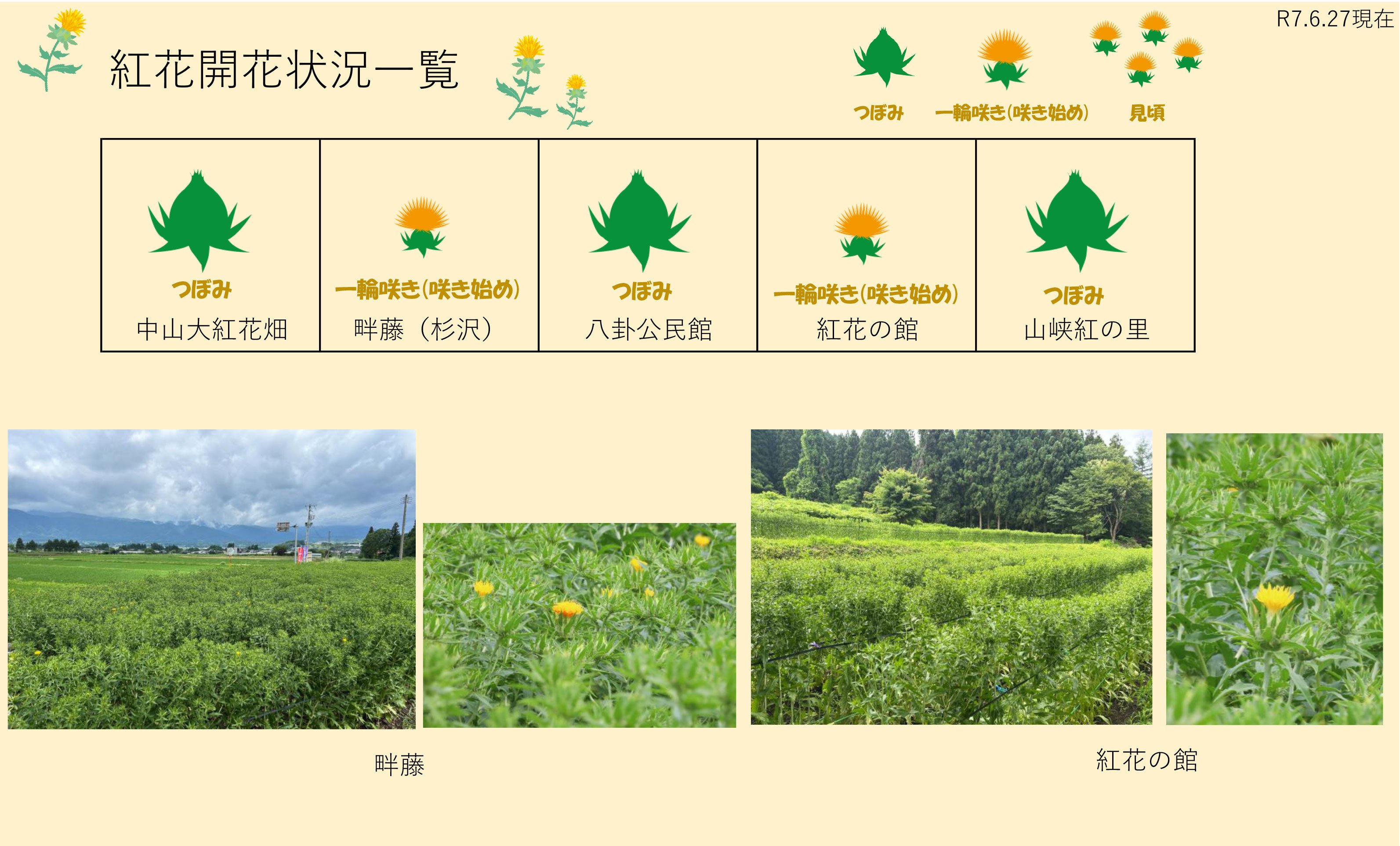 ����7ǯ �Ȳ�Ȫ���ְ���6/27������