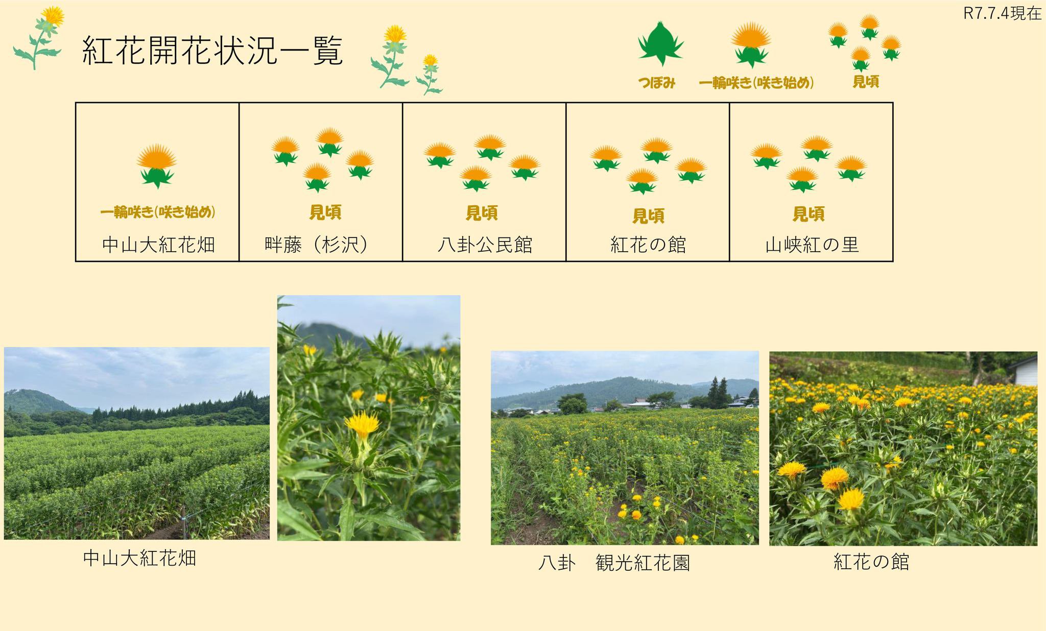 ����7ǯ �Ȳ�Ȫ���ְ���7/4������