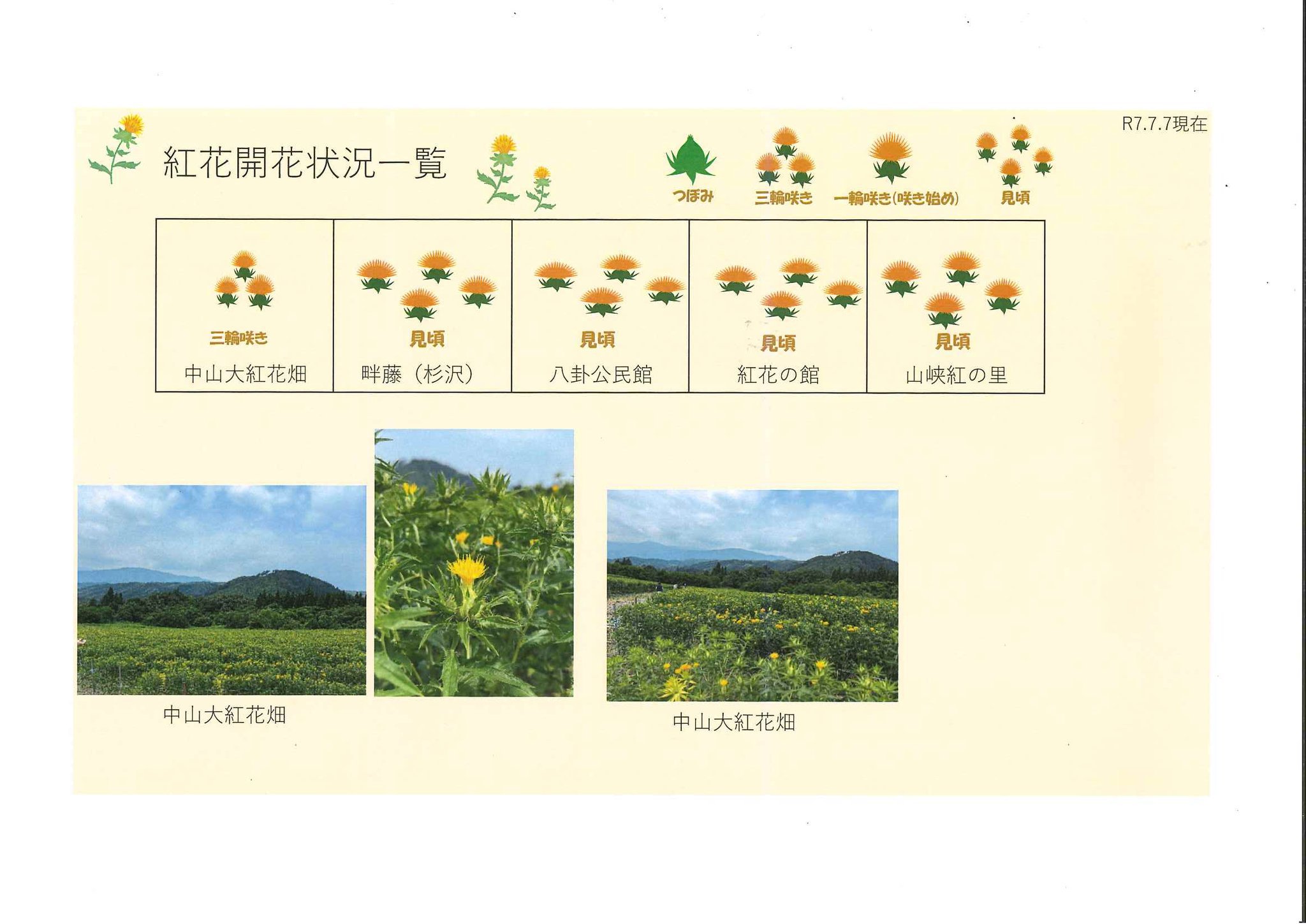 ����7ǯ �Ȳ�Ȫ���ְ���7/7������