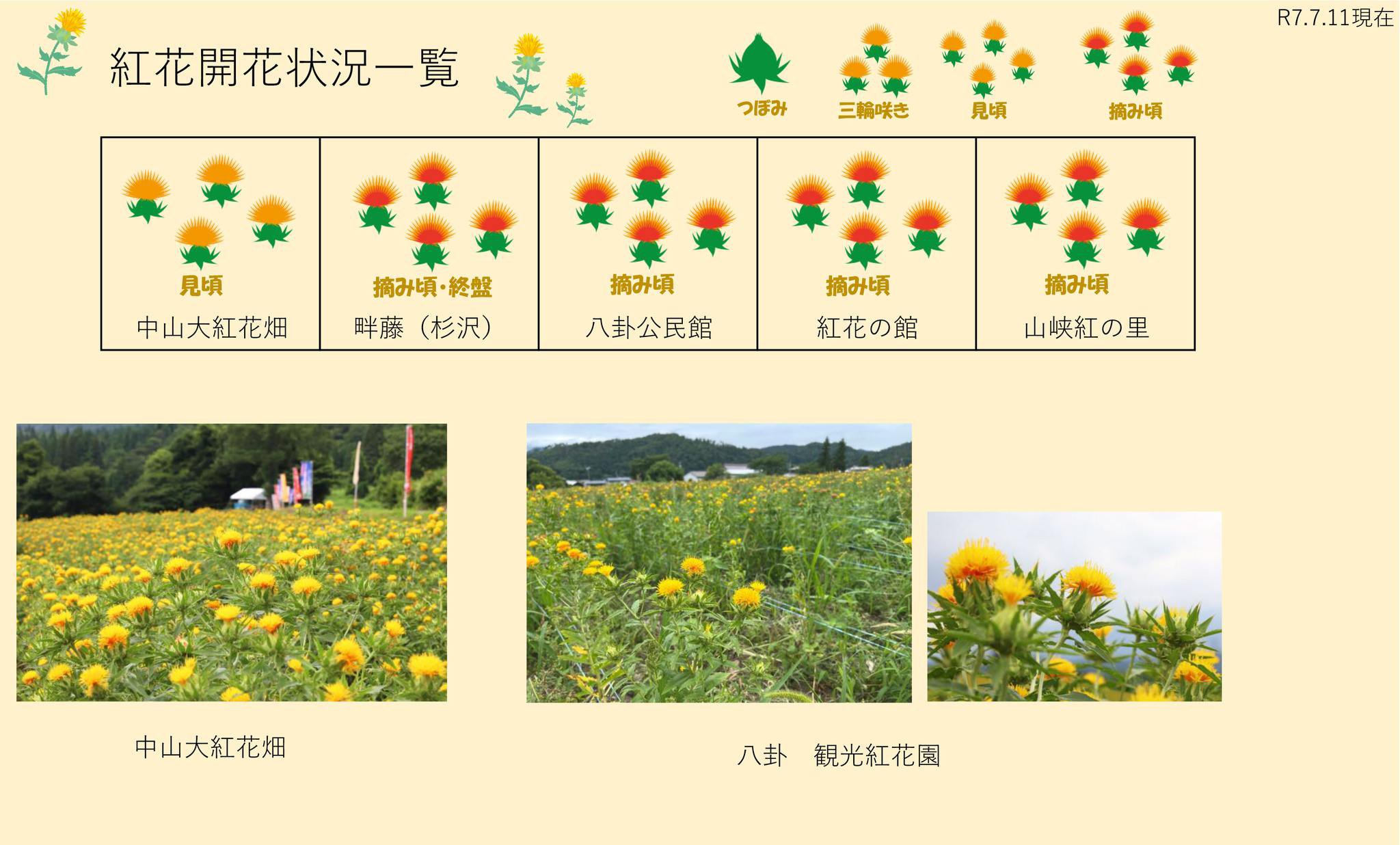 ����7ǯ �Ȳ�Ȫ���ְ���7/11������