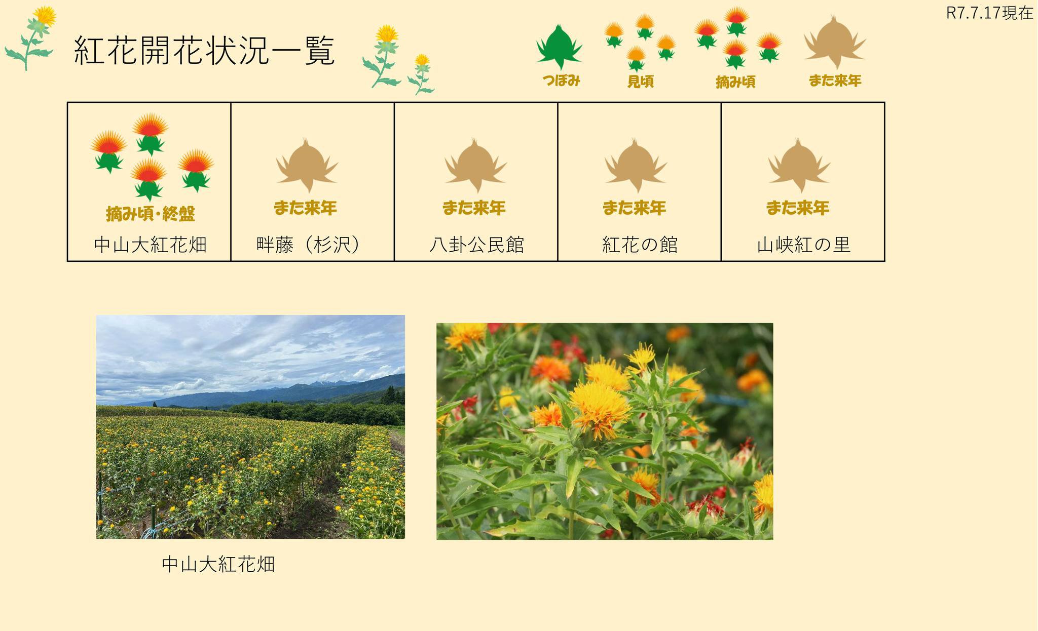 ����7ǯ �Ȳ�Ȫ���ְ���7/17������