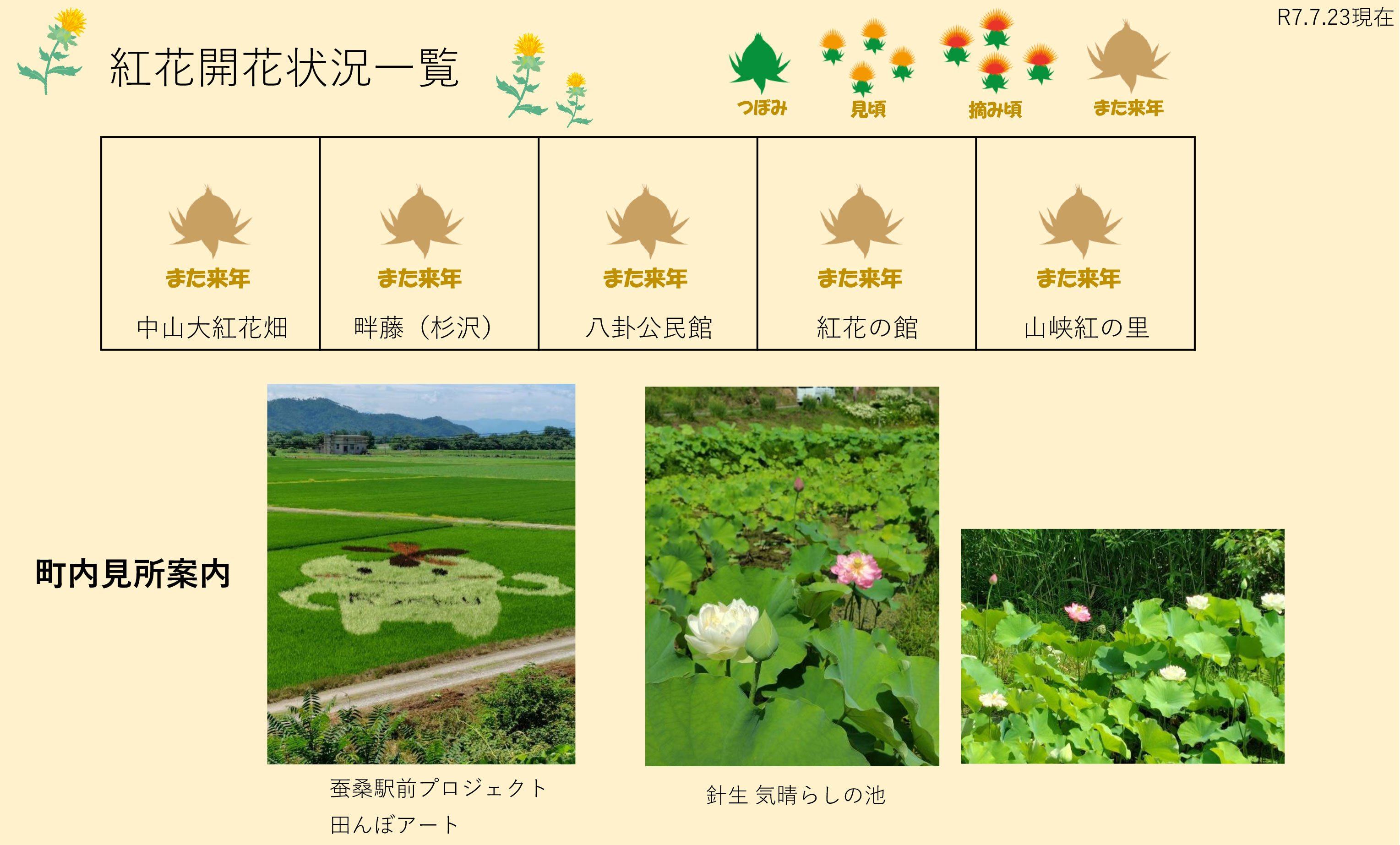 ����7ǯ �Ȳ�Ȫ���ְ���7/23������