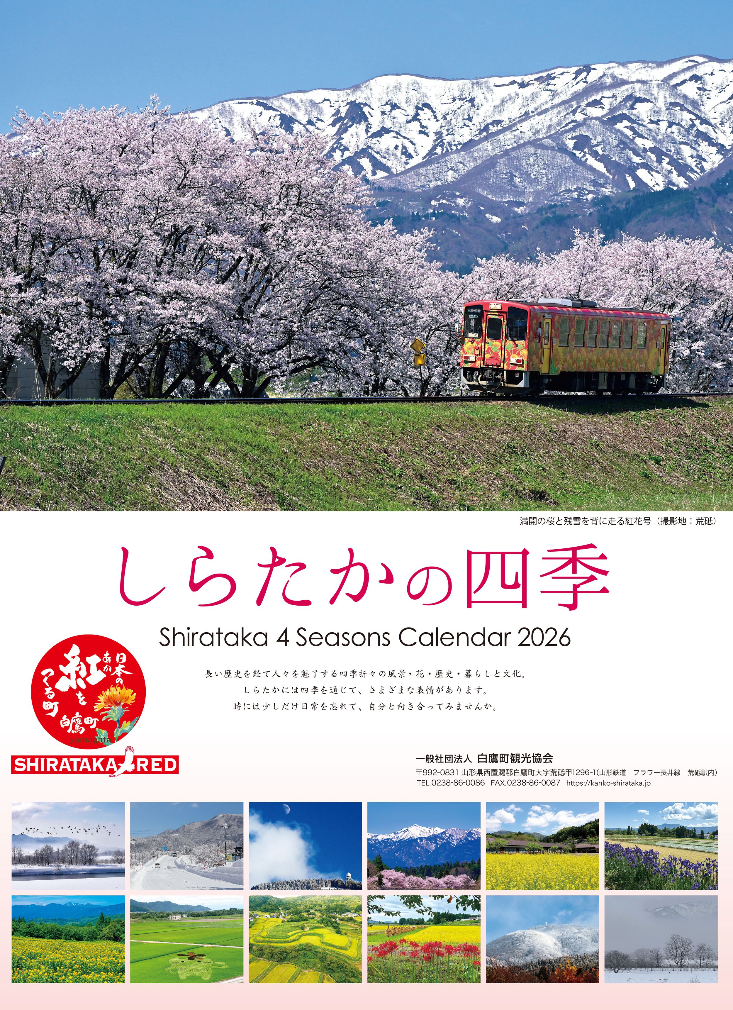 ���餿���λ͵���������2026ǯ��ȯ��Τ����餻������