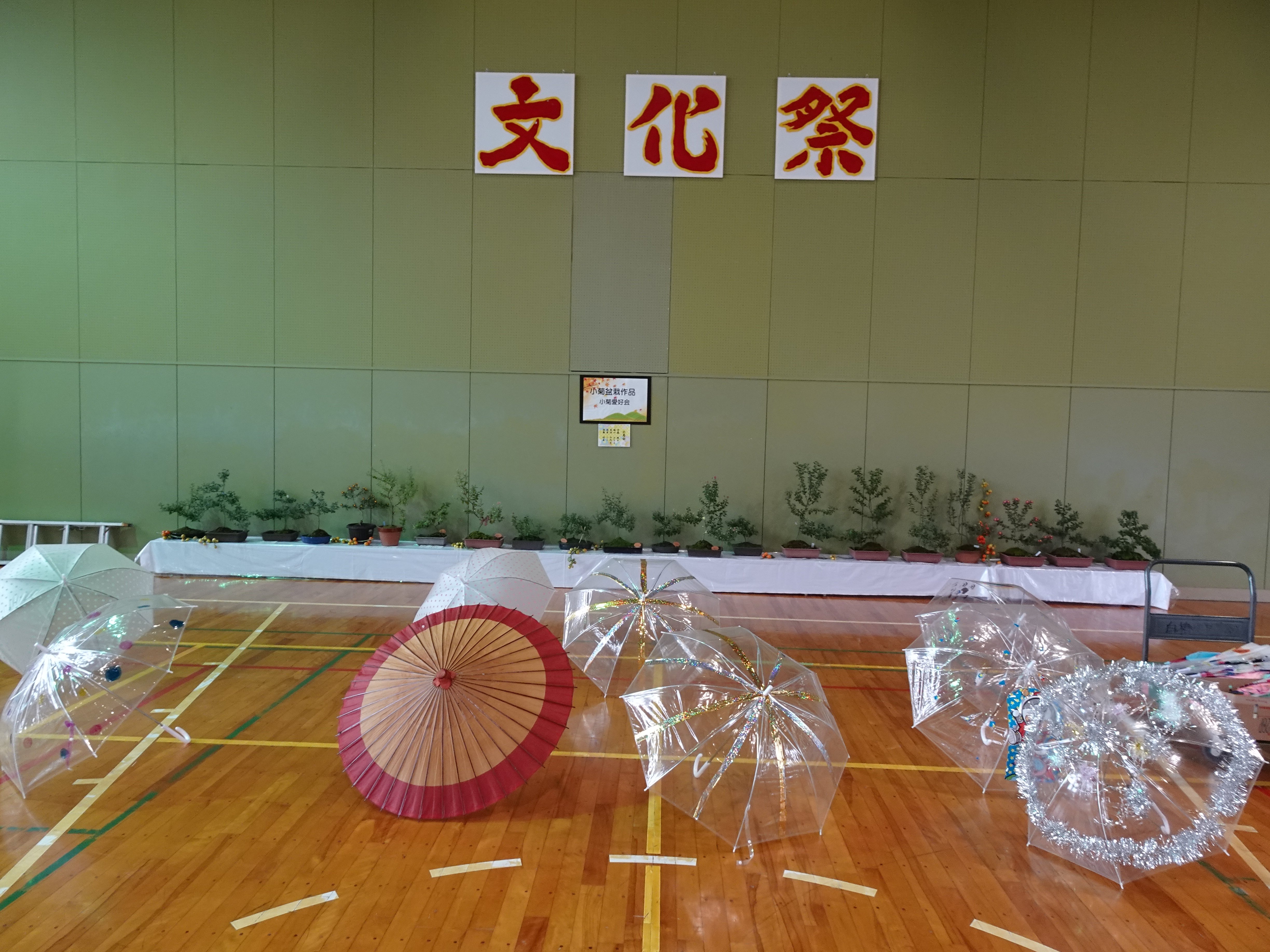 ��50�������϶�ʸ���פ򳫺Ť��ޤ���������