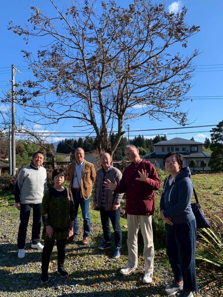 ���������𡧲���