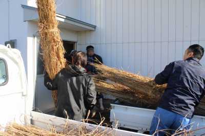 �����϶��ϥϥ�������λ�ߤ˸���������������