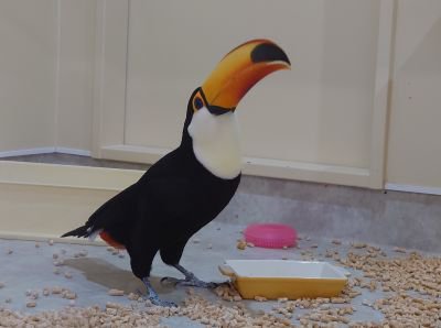 ʬ��Ĺ���ޤ��Ť���Ѱ���Ʊ������򳫺š�����